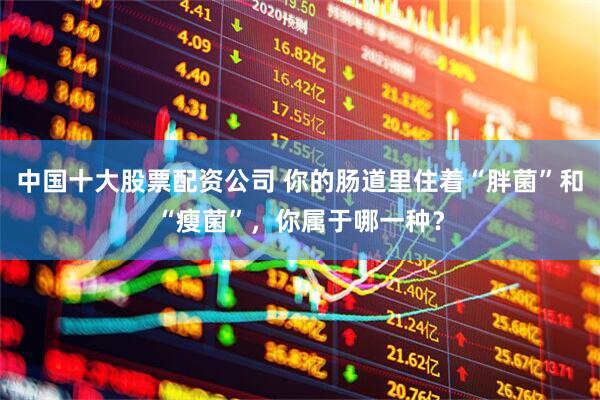 中国十大股票配资公司 你的肠道里住着“胖菌”和“瘦菌”，你属于哪一种？